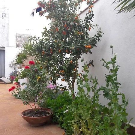 Дом отдыха La Casa De La Lluna *