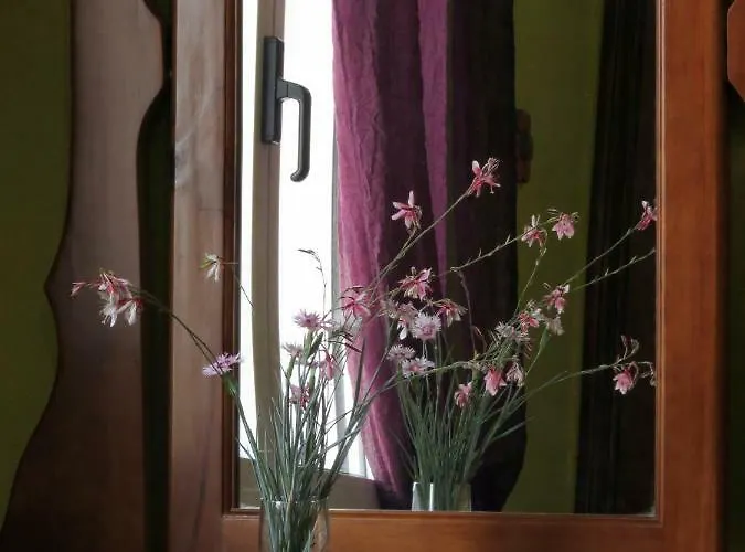 La Casa De La Lluna بوبل نو ديل دلتا