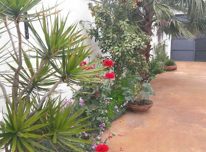 La Casa De La Lluna *